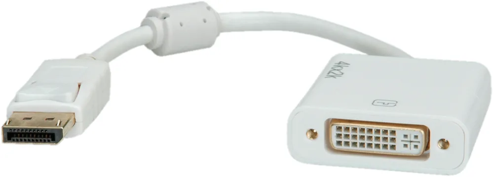ROLINE Display-Adapter - Dual Link - DisplayPort (M), Ansicht 2