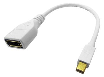 ROLINE DisplayPort-Adapter - Mini DisplayPort (M) von LumaTech