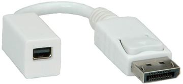ROLINE DisplayPort-Adapter - Mini DisplayPort (W) von LumaTech