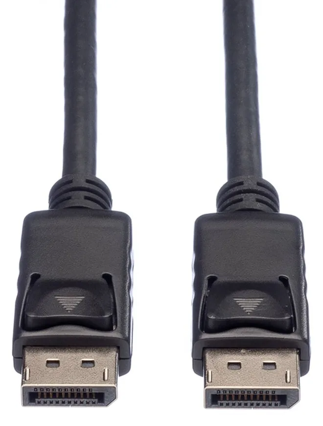 ROLINE DisplayPort-Kabel - DisplayPort (M), Ansicht 2