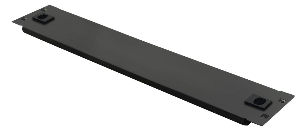 ROLINE Rack-Blindabdeckungsplatte - Schwarz, RAL 9005 - 2U - 48.3 cm (19)