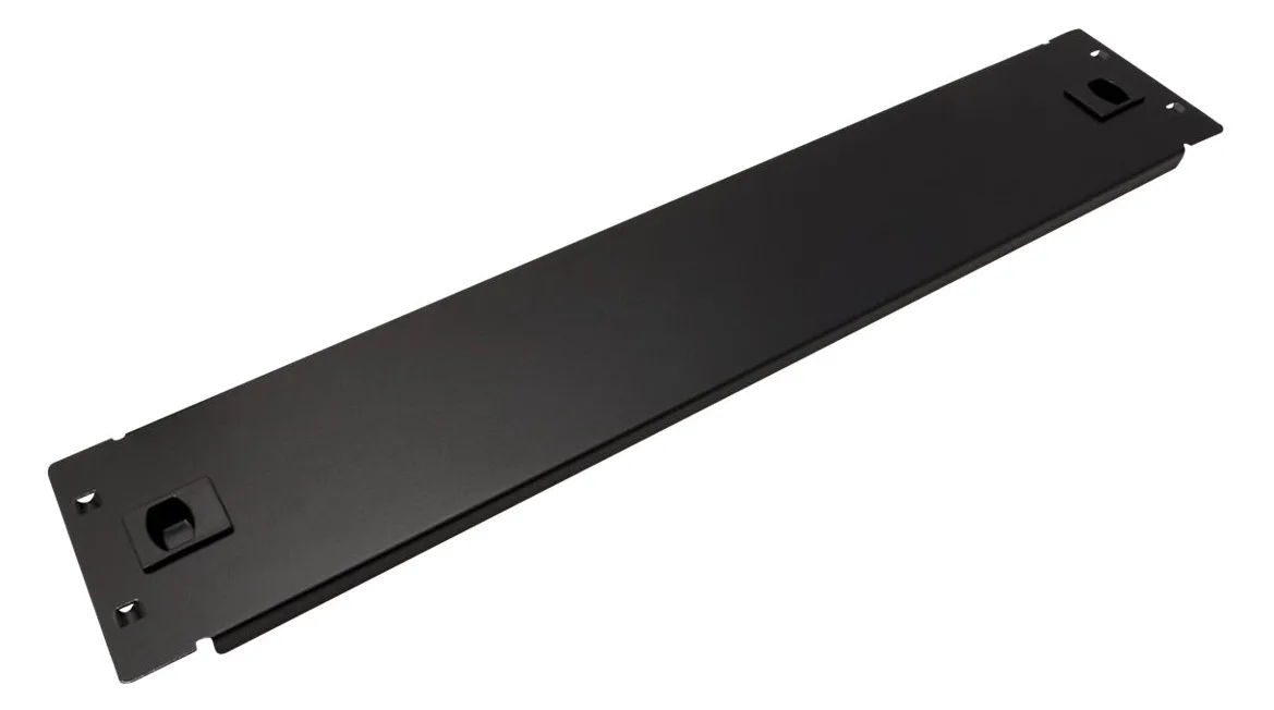 ROLINE Rack-Blindabdeckungsplatte - Schwarz, RAL 9005 - 2U - 48.3 cm (19), Ansicht 2