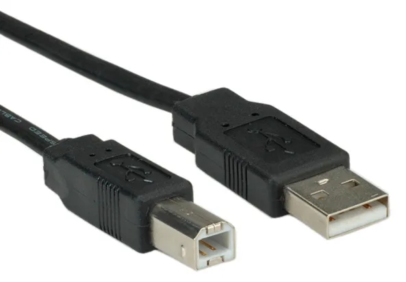 ROLINE USB-Kabel - USB (M) zu USB Typ B (M), Ansicht 2