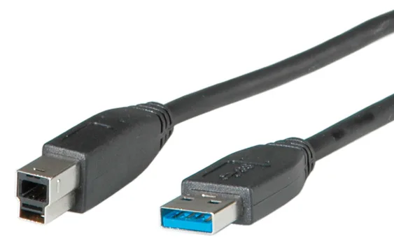 ROLINE USB-Kabel - USB Typ A (M) zu USB Type B (M), Ansicht 2