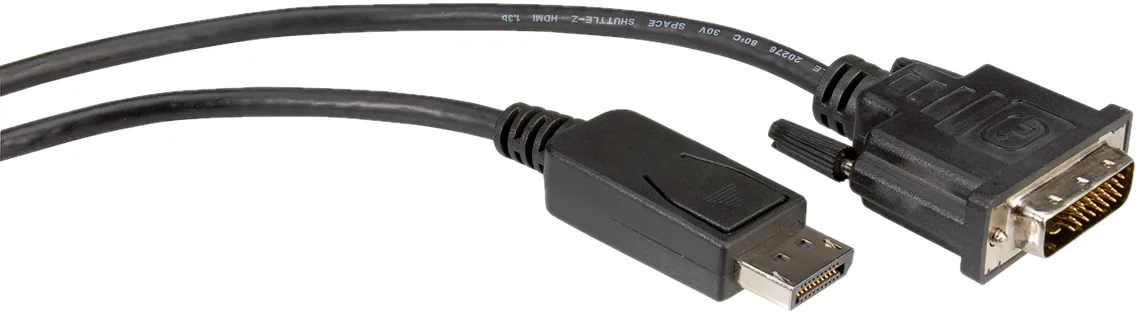 ROLINE Videokabel - DisplayPort (M) bis DVI-D (M), Ansicht 2