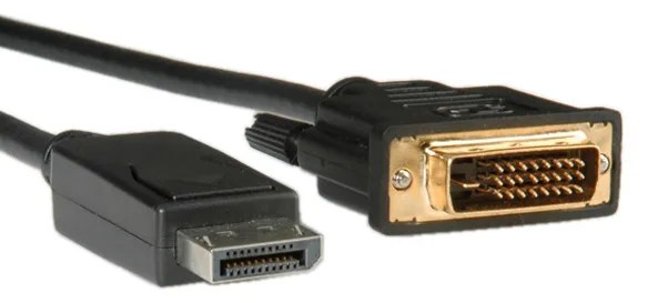 ROLINE Videokabel - DisplayPort (M) bis DVI-D (M), Ansicht 2