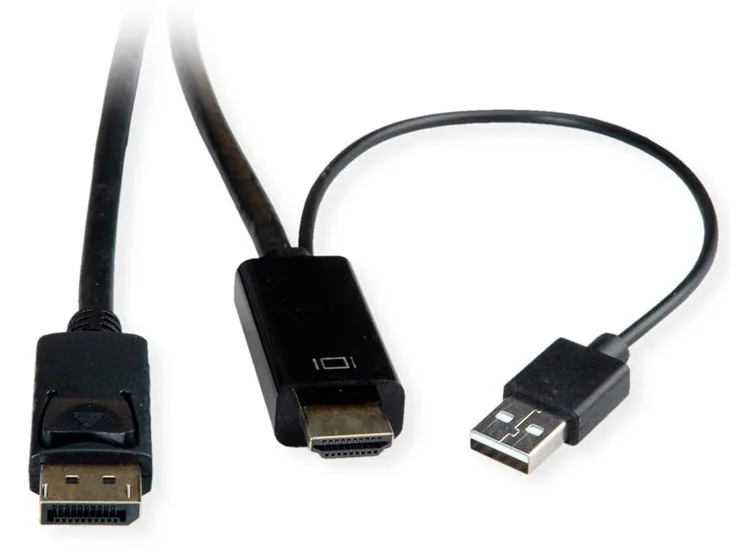 ROTRONIC-SECOMP Roline - Videokabel - HDMI, USB (nur Strom) männlich zu DisplayPort männlich - 2 m - abgeschirmt, Ansicht 3