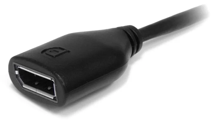 StarTech.com 6in Mini DisplayPort to DisplayPort Video Cable Adapter (MDP2DPMF6IN), Ansicht 3