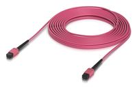 Ubiquiti Indoor OM4 multi-mode fiber - Kabel - Netzwerk von LumaTech