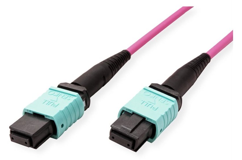 VALUE Patch-Kabel - MPO (M) zu MPO (M) - 15 m
