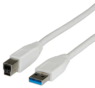 VALUE USB-Kabel - USB (M) zu USB Typ B (M), Ansicht 2