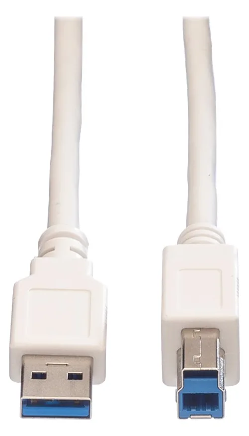 VALUE USB-Kabel - USB (M) zu USB Typ B (M), Ansicht 4
