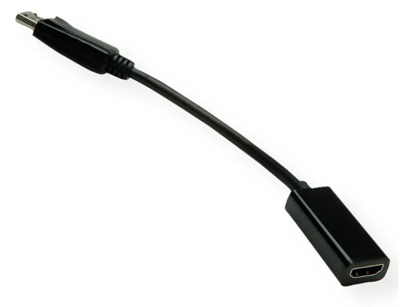 VALUE Video- / Audio-Adapter - DisplayPort (M), Ansicht 4