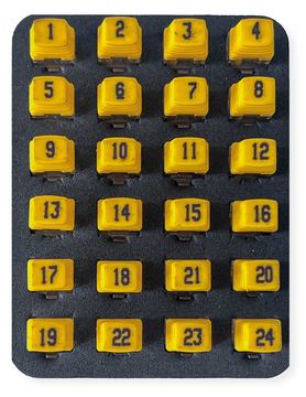 Softing IT Networks softing Psiber CableMaster/Netxpert zbh. Remote Identifier Set RJ45 1-24 von LumaTech