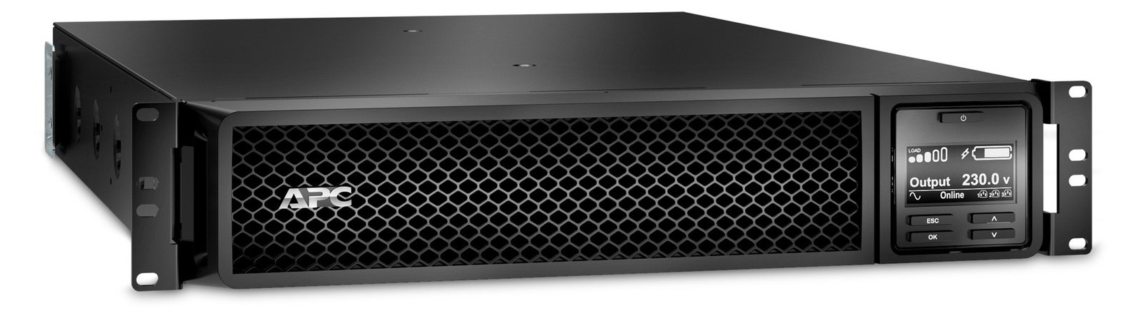 APC Smart-UPS SRT 2200VA RM - USV (in Rack montierbar/extern)
