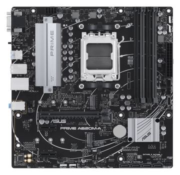 ASUS PRIME A620M-A-CSM - Motherboard - micro ATX - Socket AM5 - AMD A620 Chipsatz von LumaTech