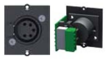Bachmann Custom Module 1 x XLR socket - Modulares Faceplate-Snap-In - XLR (5-polig) von LumaTech