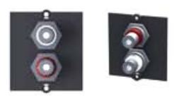 Bachmann Modulares Faceplate-Snap-In - RCA X 2 von LumaTech