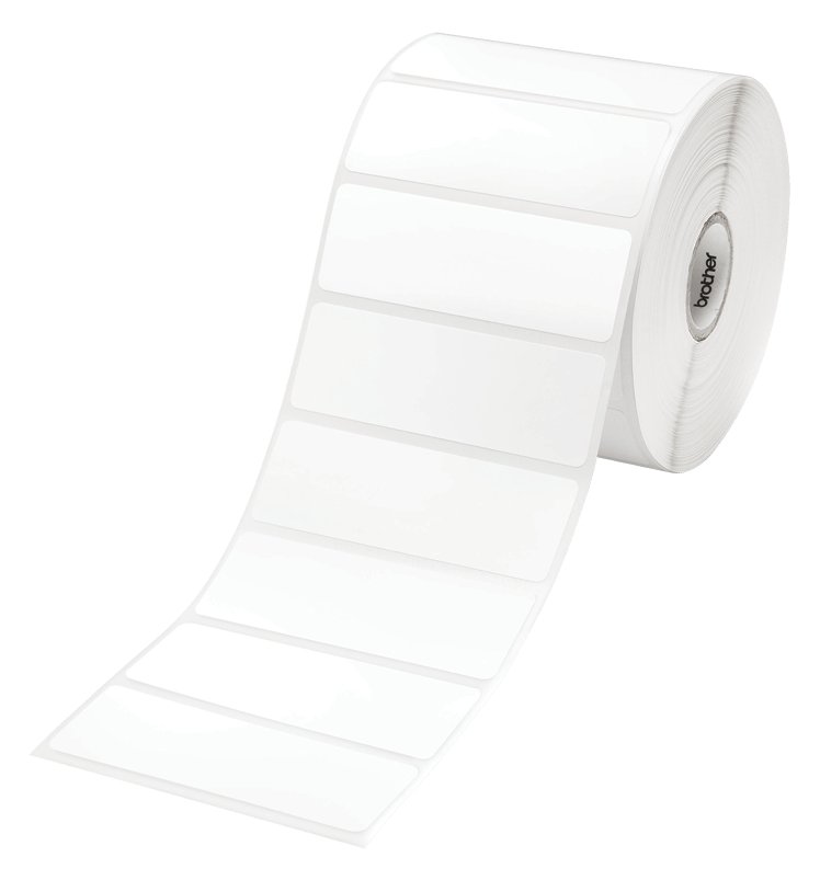 Brother RDS04E1 - Rolle (7,6 cm) 1 Rolle(n) 1552 gestanzte Etiketten