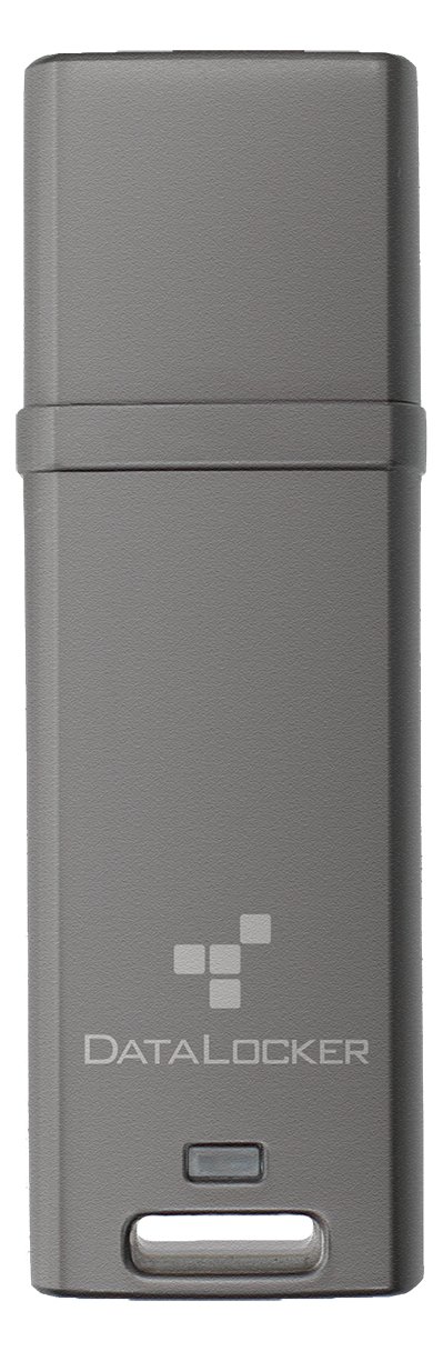 DataLocker 4GB DL GO 256BIT - Flash-Speicher - unsortiert