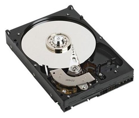Dell  Festplatte - 1 TB - intern - 3.5 (8.9 cm)