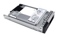 Dell  Kunden-Kit - SSD - Read Intensive - 960 GB - 2.5 (6.4 cm)