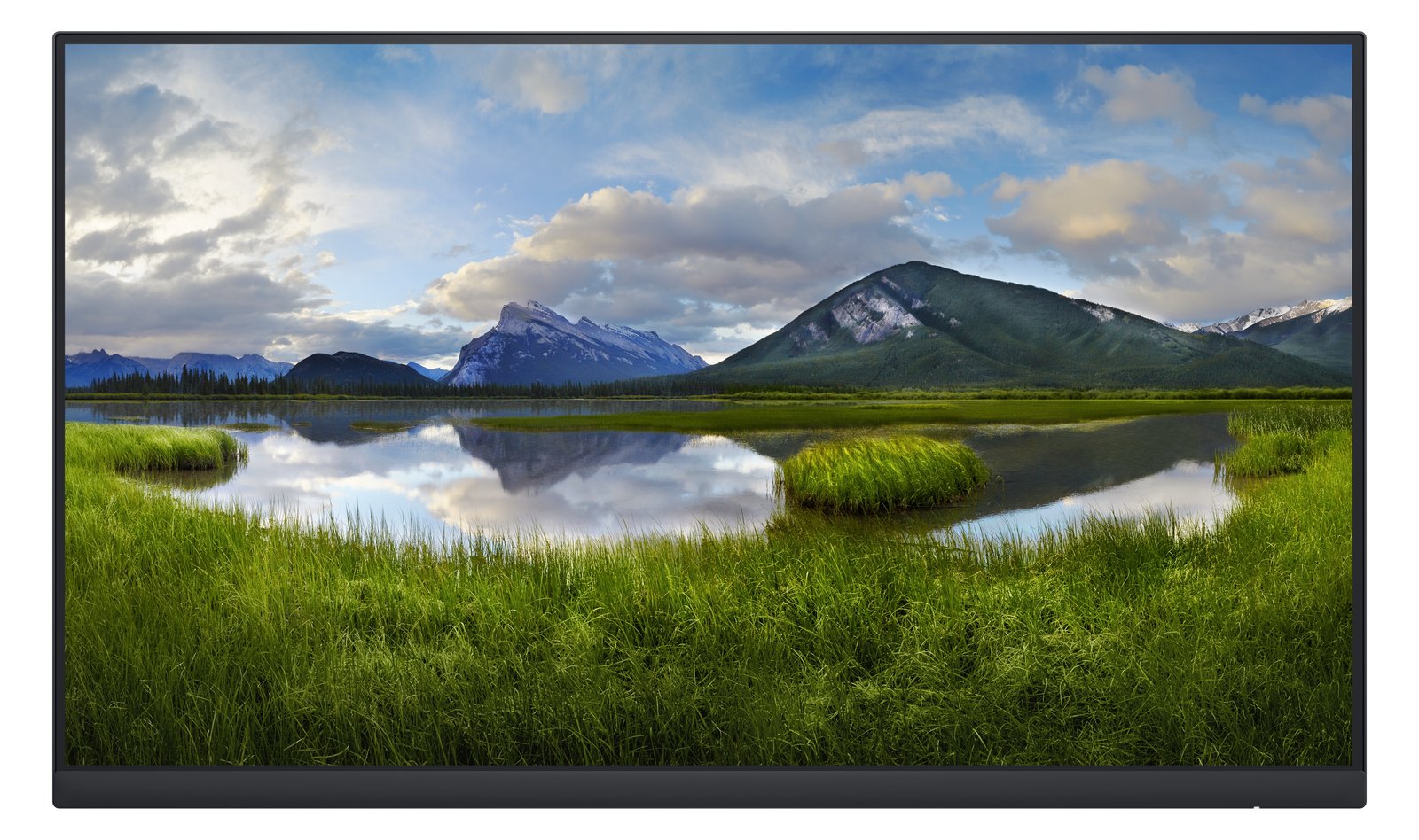 Dell P2422H - Ohne Standfuß - LED-Monitor - 60.47 cm (23.8)