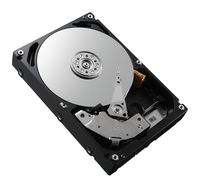 Dell Toshiba - Festplatte - 1 TB - intern - 3.5 (8.9 cm)