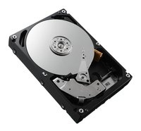 Dell Toshiba - Festplatte - 1 TB - intern - 3.5 (8.9 cm)