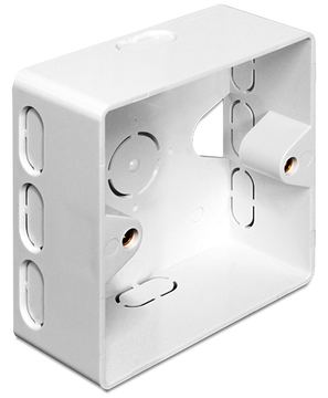 Delock Back Box - Installationskasten Netzwerkoberfläche von LumaTech