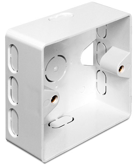 Delock Back Box - Installationskasten Netzwerkoberfläche