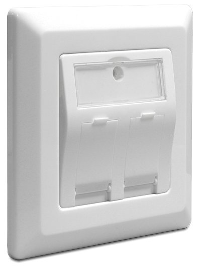 Delock Keystone Wall Outlet - Wanddose - weiß, RAL 9010