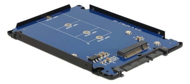 Delock Laufwerksschachtadapter - 2.5 to M.2 (6.4 cm to M.2)