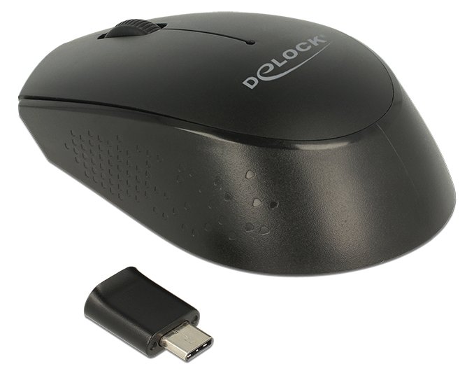 Delock mini - Maus - rechts- und linkshändig - optisch - 3 Tasten - kabellos - 2.4 GHz - kabelloser Empfänger (USB)