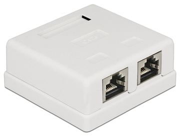 Delock Modular Wall - Wanddose - RJ-45 X 2 von LumaTech