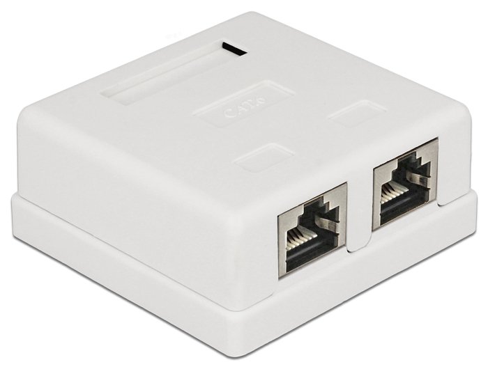 Delock Modular Wall - Wanddose - RJ-45 X 2