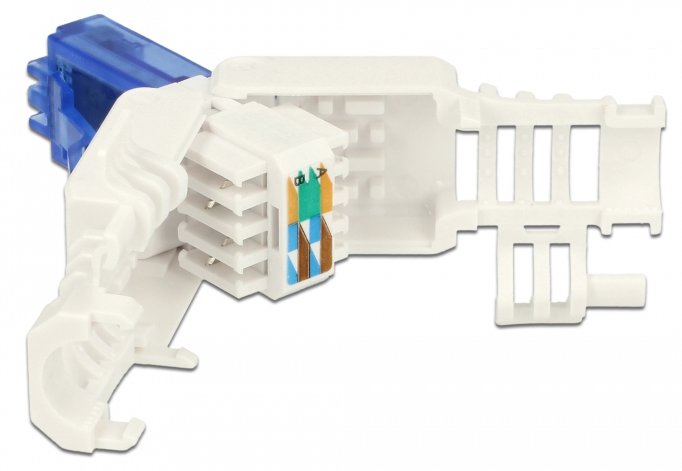 Delock Netzwerkanschluss - RJ-45 (M) - UTP - CAT 6a - (Anzahl pro Packung: 2)