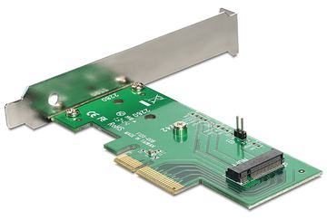 Delock PCI Express Card > 1 x internal M.2 NGFF von LumaTech