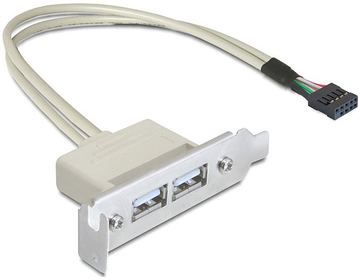 Delock Slot bracket - USB-Kabel - USB (W) zu 9-poliger USB-Header (W) von LumaTech
