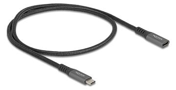Delock USB 10 Gbps Verlängerungskabel Type-C Stecker zu Buchse PD 3.0 100 W 0.5 m grau von LumaTech