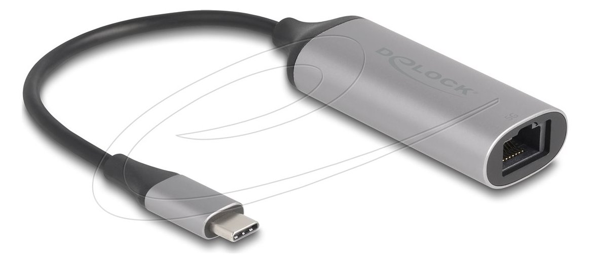 Delock USB Type-C Adapter zu 5 Gigabit LAN - Adapter - Digital/Daten