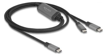 Delock USB-Kabel - 24 pin USB-C (M) zu 24 pin USB-C (M) von LumaTech