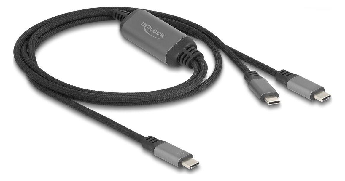 Delock USB-Kabel - 24 pin USB-C (M) zu 24 pin USB-C (M)