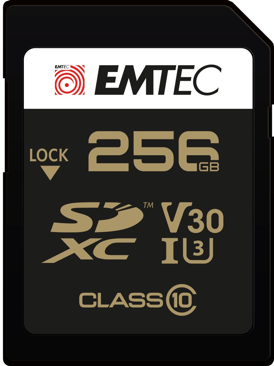 EMTEC SpeedIN' PRO - Flash-Speicherkarte - 256 GB
