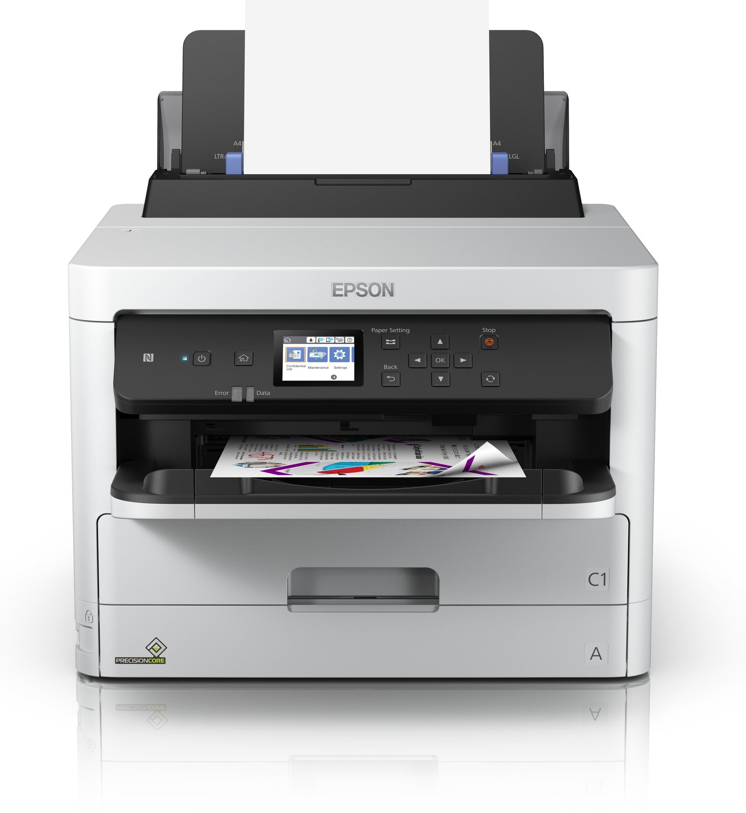 Epson Größe XXL - Schwarz - Original - Tinten-Packung