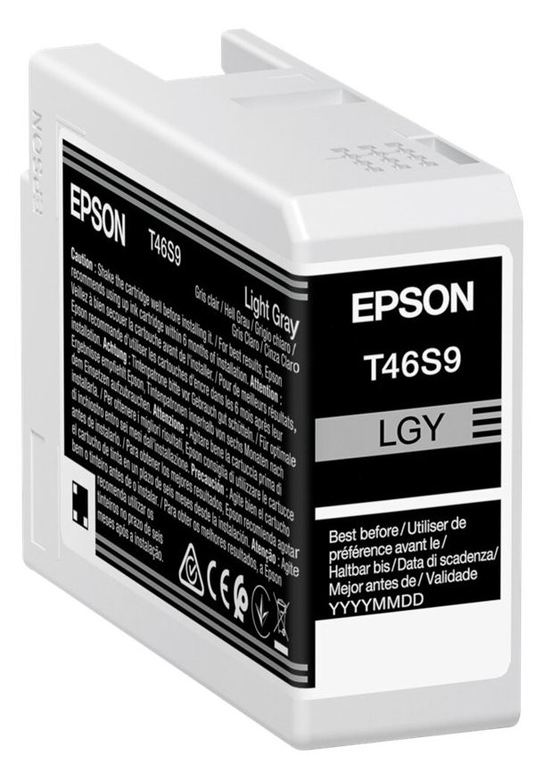 Epson UltraChrome Pro T46S9 - 25 ml - Hellgrau