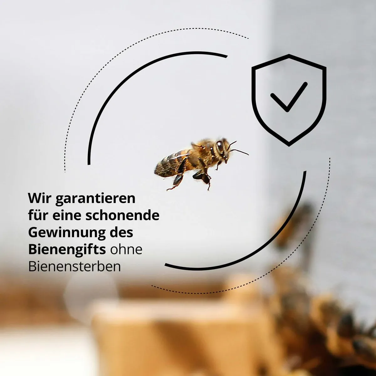 maorika Bienengiftsalbe mit Manukaöl (Kühlend & beruhigend) - Bienengiftcreme hochdosiert mit u.a. Shea Butter, Eukalyptus, Aloe Vera, Rosmarin & Zitronenschalenöl — Bild 7